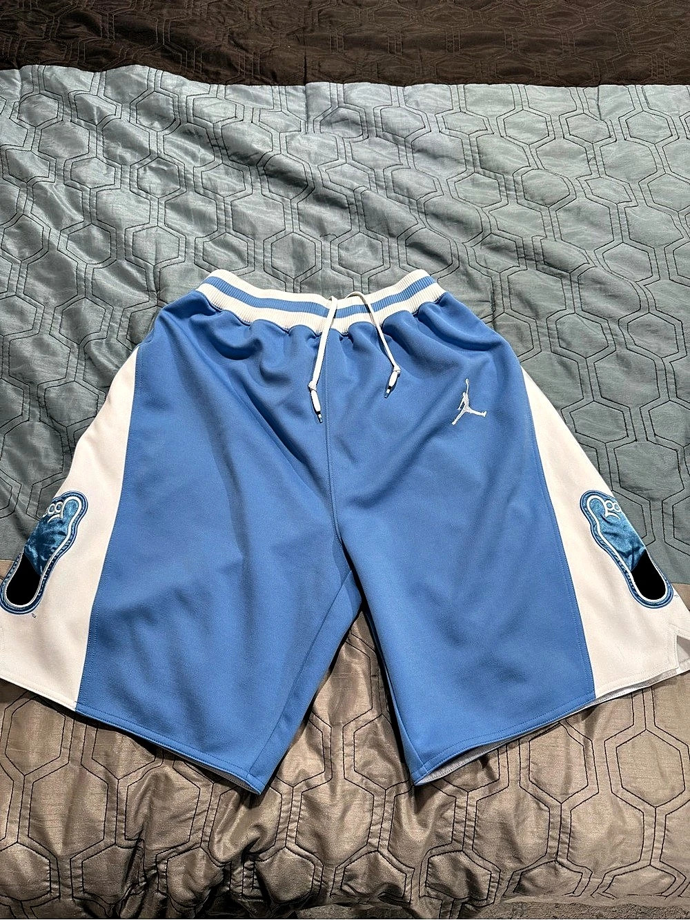 RARE NIKE JORDAN NORTH CAROLINA TAR HEELS BASKETBALL SHORTS IN SIZE M